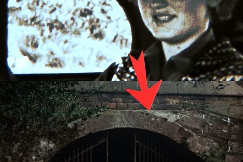 El inquietante misterio de Bluebell Wood