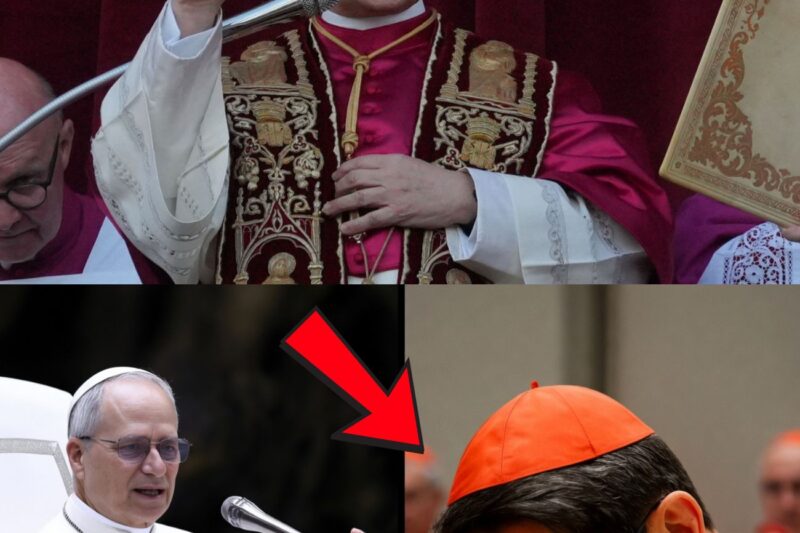El Papa León XIV pronunció un discurso tan profundo que conmovió hasta las lágrimas al Cardenal Tagle.