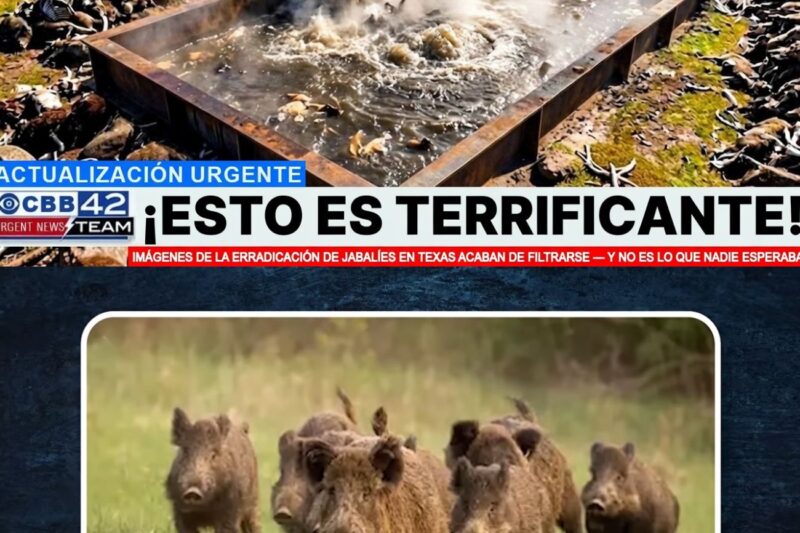 Se han filtrado imágenes de la erradicación de jabalíes en Texas, y no es lo que nadie esperaba.