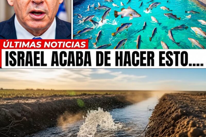 Cómo Israel está produciendo billones de toneladas de pescado en el desierto