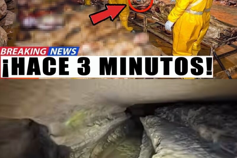 Esto se encuentra en una cueva bajo el río Éufrates… Y coincide con lo que Jesús advirtió.
