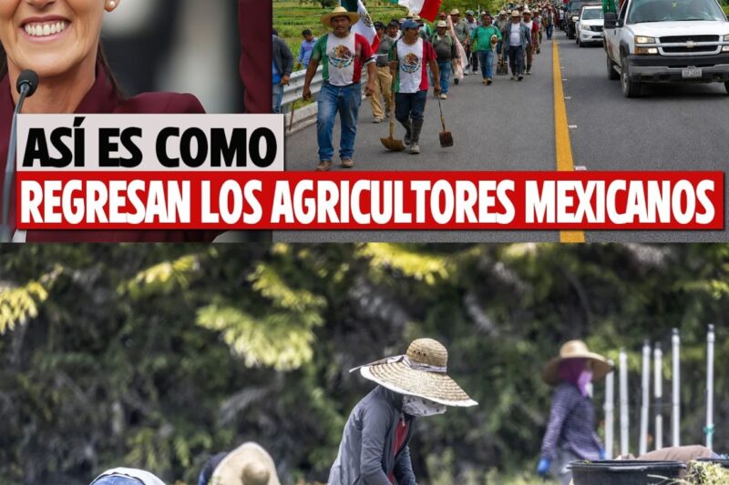 Estados Unidos Pensaba Que Podrían Hacer Agricultura Por su Cuenta Sin Los Mexicanos…