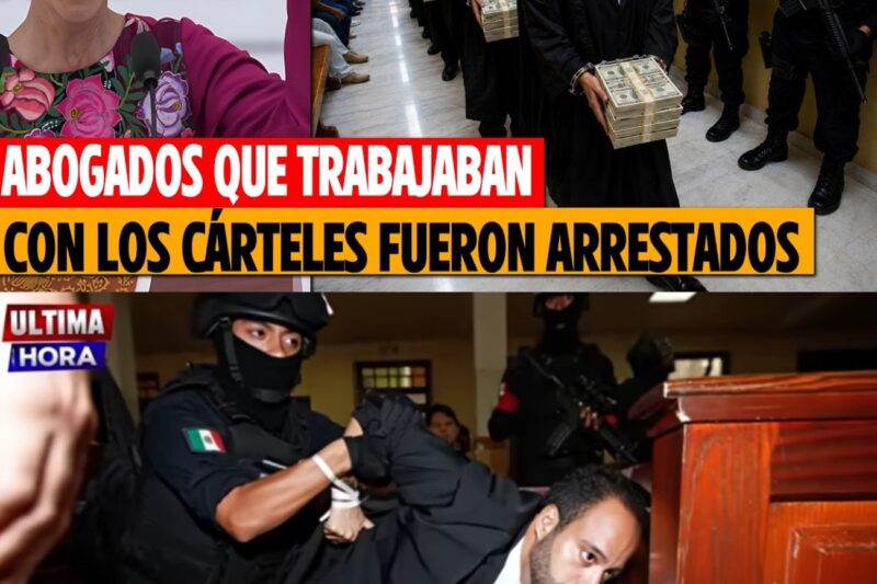 Los Abogados Corruptos Pensaban Que Podían Trabajar Con Los Cárteles…