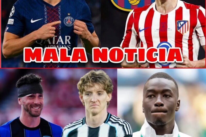 Guerra en los despachos: El Atlético de Madrid frena el primer asalto del Barcelona por Julián Álvarez, el regreso de Nicolas Jackson al Chelsea y el desembarco de Davide Ancelotti en el Lille