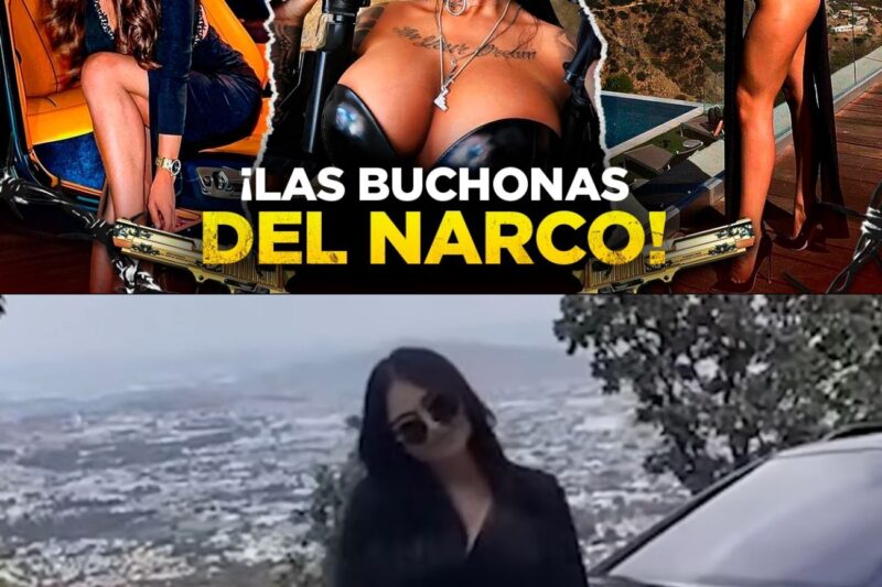 Estos son los LUJOS que tienen las BUCHONAS de los N4RCOS MEXICANOS